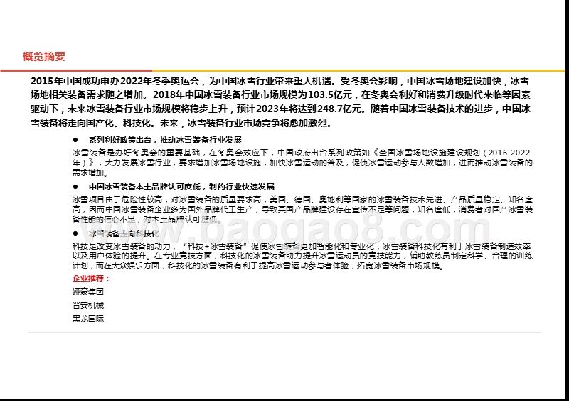 2019-2020中国冰雪装备行业综合分析报告.pptx_第2页