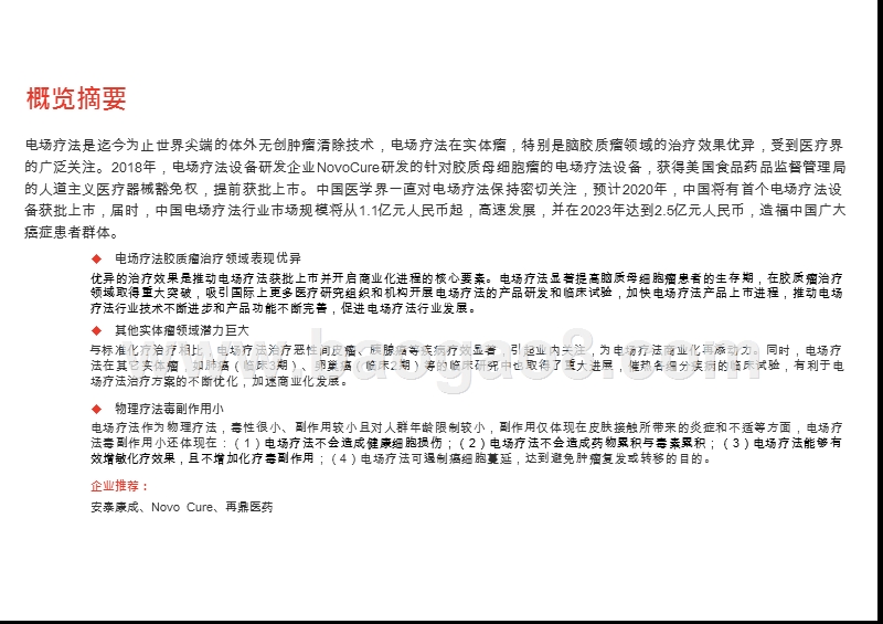 2019-2020中国电场疗法行业综合分析报告.pptx_第2页