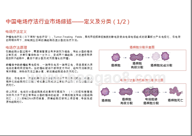 2019-2020中国电场疗法行业综合分析报告.pptx_第5页
