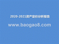 2020-2021资产定价分析报告.pptx