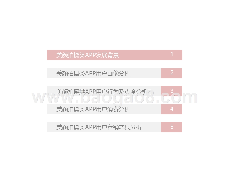 2020-2021中国美颜拍摄类APP用户营销价值洞察报告.pptx_第2页