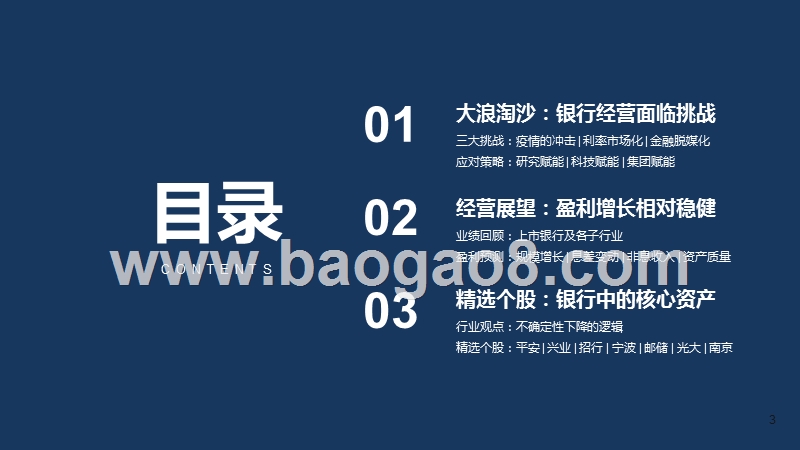 2020年银行投资策前景研究报告.pptx_第3页