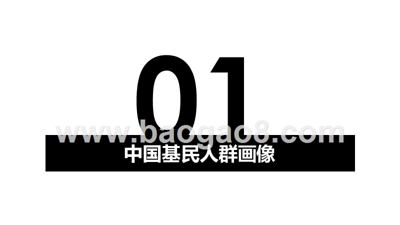 2020-2021中国基民分析报告.pptx_第3页