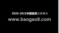 2020-2021中国基民分析报告.pptx