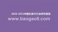 2020-2021中国纪录片行业研究报告.pptx