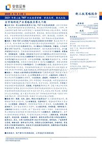 2021年新三板TMT行业投资前瞻：斩浪向前，乘风而起.pdf