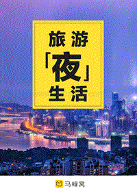 旅游夜生活.pdf
