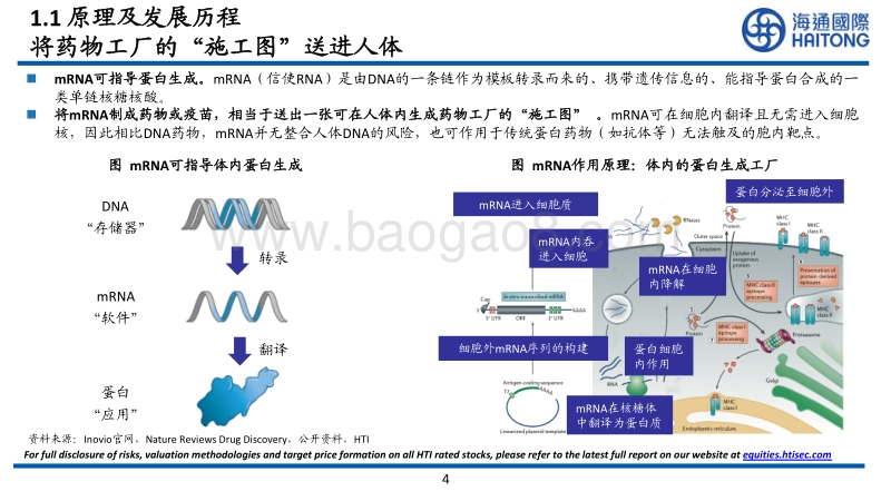 mRNA：体内药物工厂“施工图”，不仅仅是疫苗.pdf_第4页