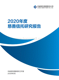 2020年度慈善信托研究报告.pdf