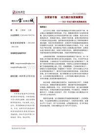 2021年动力煤年度策略报告：供需紧平衡，动力煤价格宽幅震荡.pdf