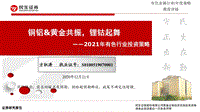 2021年有色行业投资策略：铜铝&黄金共振，锂钴起舞.pdf