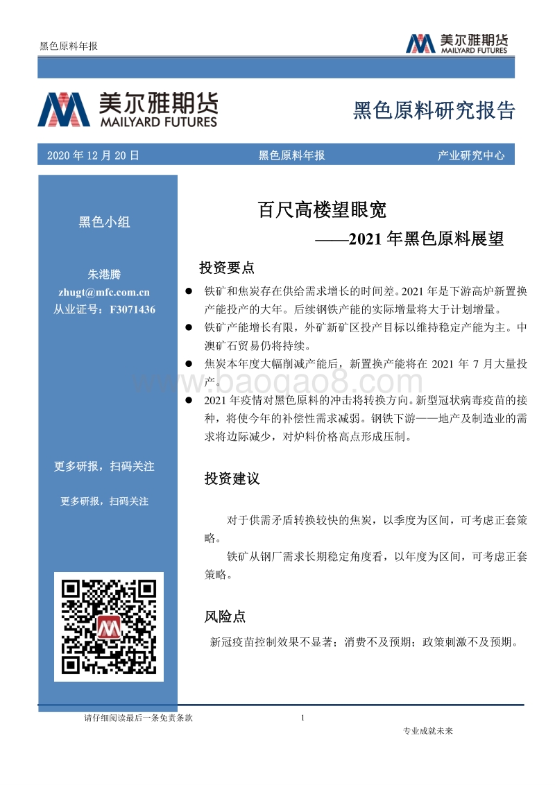 2021年黑色原料展望：百尺高楼望眼宽.pdf_第1页