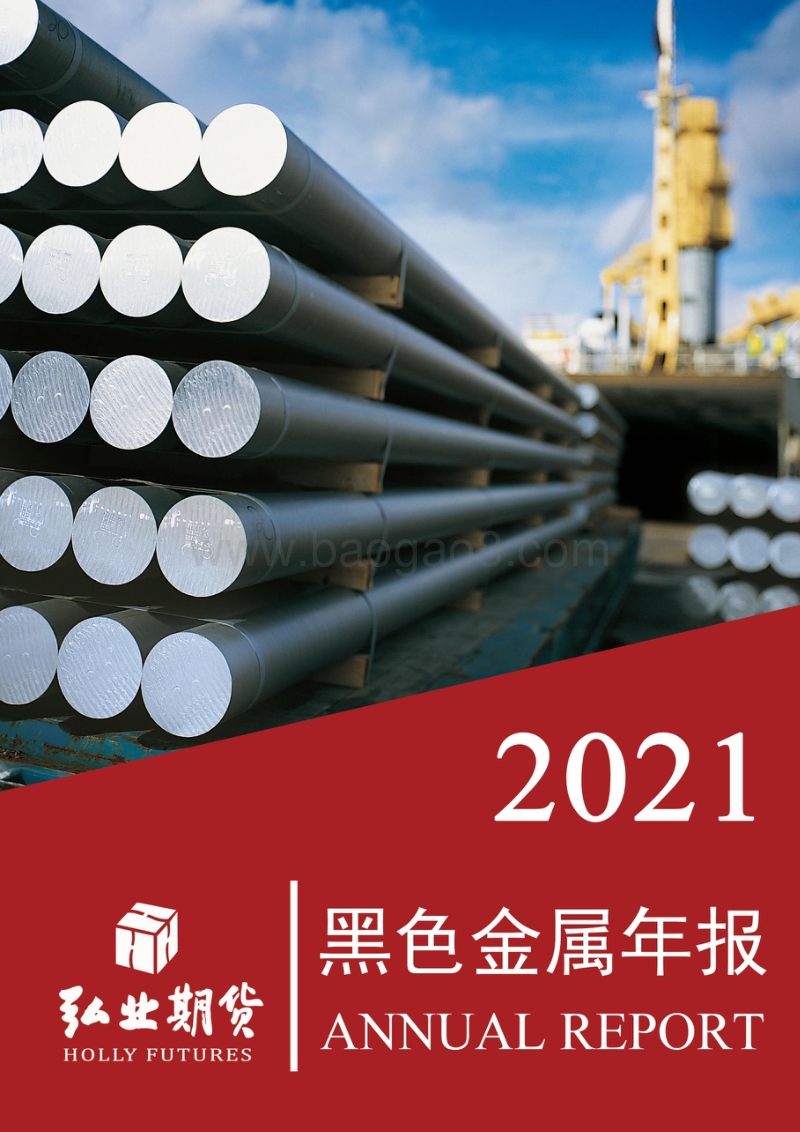 2021年黑色金属年报.pdf_第1页