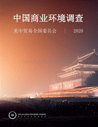 2020中国商业环境调查.pdf