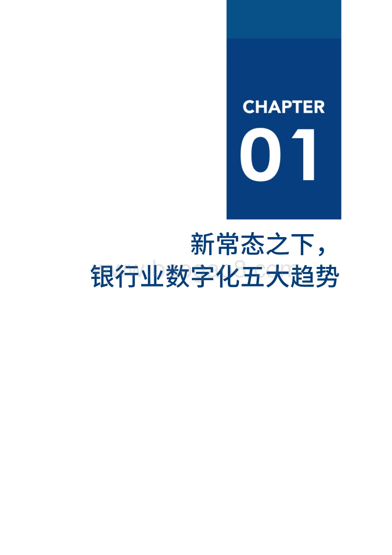 2020银行数字化厂商全景报告.pdf_第5页