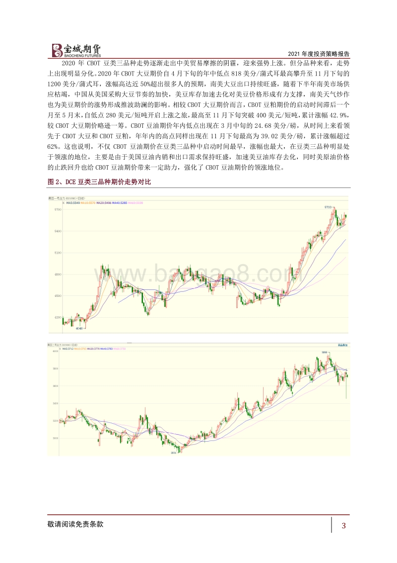 大豆、豆粕、豆油、棕榈油2021年度投资策略报告：百尺竿头思更进.pdf_第3页