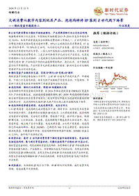 潮玩盲盒专题报告二：文娱消费从数字内容到玩具产品，泡泡玛特将IP落到Z世代线下场景.pdf