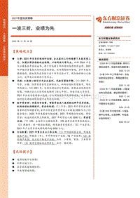 2021年度投资策略：一波三折，业绩为先.pdf