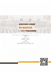 2021年锌铅投资策略：渐行渐远的兄弟.pdf