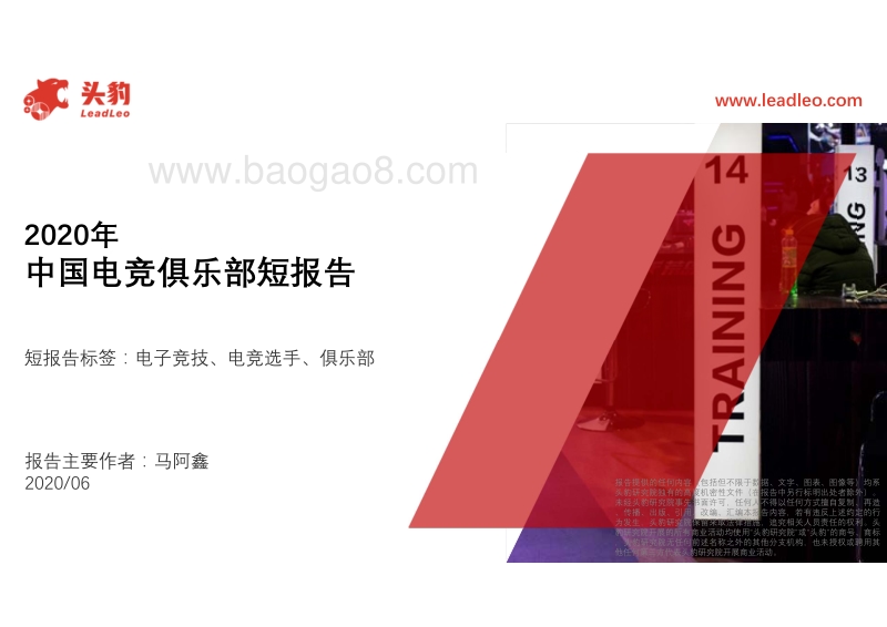 2020年中国电竞俱乐部短报告.pdf_第1页