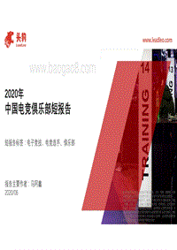 2020年中国电竞俱乐部短报告.pdf