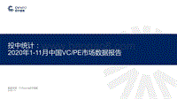 2020年1-11月中国VCPE市场数据报告.pdf