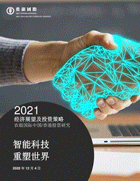 2021经济展望及投资策略.pdf