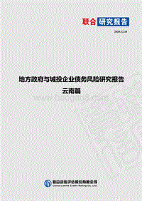地方政府与城投企业债务风险研究报告：云南篇.pdf