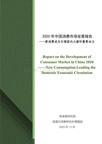 2020年中国消费市场发展报告.pdf