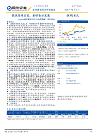 内镜观察系列2（诊疗器械）深度报告：聚焦高端品类，着眼全球发展.pdf