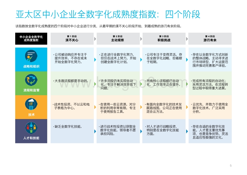 2020亚太区中小企业全数字化成熟度报告.pdf_第5页