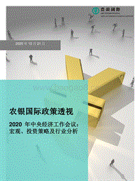2020年中央经济工作会议：宏观、投资策略及行业分析.pdf