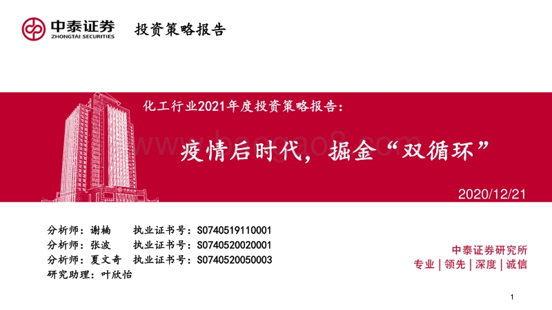 化工行业2021年度投资策略报告：疫情后时代，掘金“双循环”.pdf_第1页