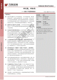 2021年度策略报告：新发展，新格局.pdf