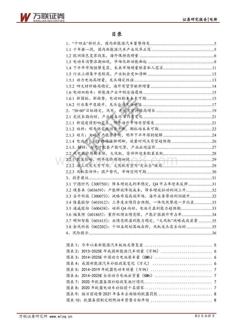 电新行业2021年投资策略报告：“十四五”拉开风光巨幕，海内外掀起电动热潮.pdf_第2页