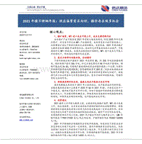 2021年镍不锈钢年报：供应偏紧需求向好，镍价存在做多机会.pdf