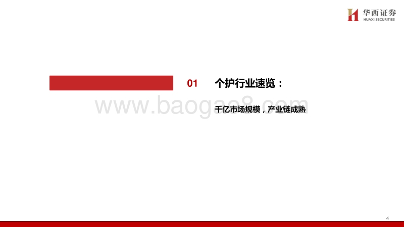 个护行业深度报告：质造升级&新零售渠道驱动，助力国产品牌弯道超车.pdf_第5页