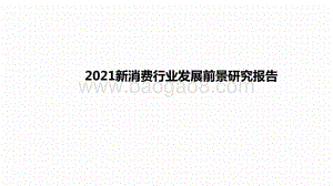 2021新消费行业发展前景研究报告.pptx
