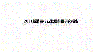 2021新消费行业发展前景研究报告.pdf