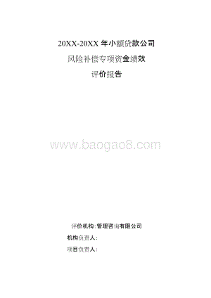 20XX-20XX年小额贷款公司风险补偿专项资金绩效评价报告.doc