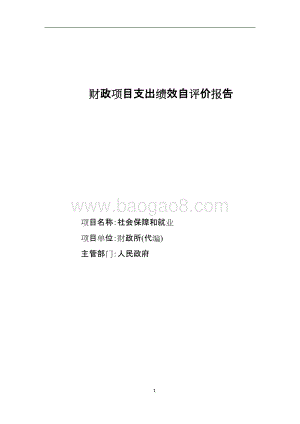 社会保障和就业项目绩效评价报告.doc