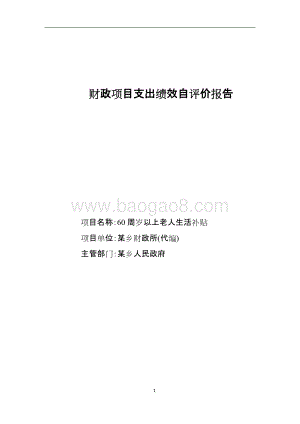 60周岁以上老人生活补贴项目绩效评价报告.doc