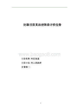 村庄改造项目绩效评价报告.doc