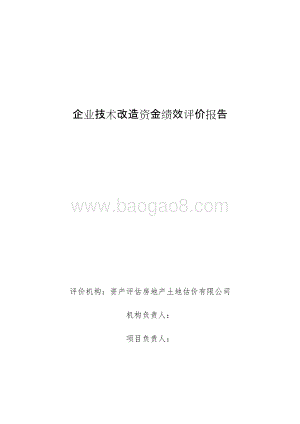 企业技术改造资金绩效评价报告.doc