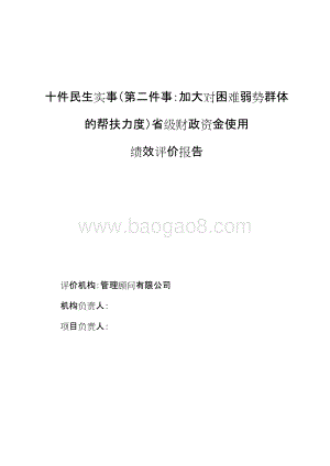 民生困难弱势群体帮扶力度财政专项资金绩效评价报告.doc
