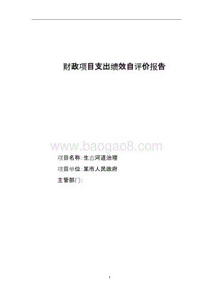 生态河道治理项目绩效评价报告.doc