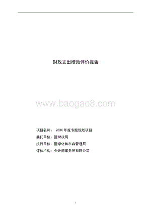 专题规划项目绩效评价报告.docx