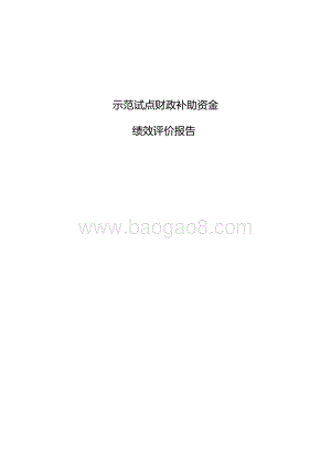 示范试点财政补助资金绩效评价报告.docx