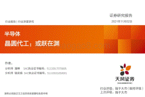 晶圆代工：或跃在渊.pdf
