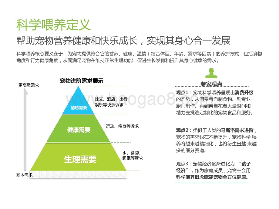 2021-2022中国宠物科学喂养行业研究报告.pptx_第5页